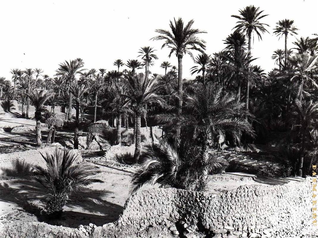 Ain sefra 031-Collection Monneret.JPG